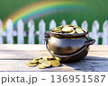 Pot of Gold Coins with Rainbow and Picket Fence in Garden 136951587
