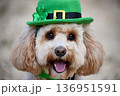Cute Happy Dog with Green Hat and Clover for Celebration 136951591