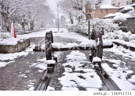 雪が積もって静まりかえる寒川一之宮公園緑道 136951711