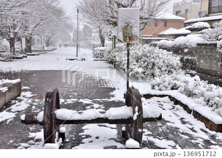 雪が積もって静まりかえる寒川一之宮公園緑道 136951712