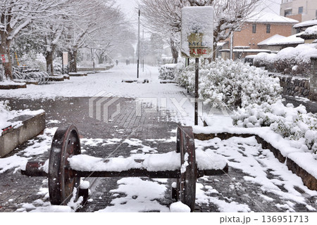 雪が積もって静まりかえる寒川一之宮公園緑道 136951713