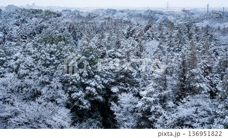 雪化粧の森 136951822