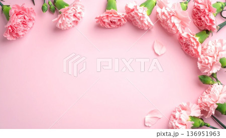 パステルピンクの背景に映える淡いピンクのカーネーション 母の日のメッセージ用フレーム素材 コピースペ 136951963