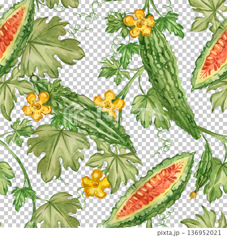 A seamless watercolor pattern with bitter melon, vines, leaves, and flowers. Momordica is a healthy and detoxifying herb. Hand-drawn illustration for packaging and food products. 136952021