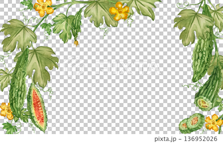 A watercolor frame of bitter melon, Indian cucumber, leaves, and flowers, symbolizing healthy detoxification and nutrient replenishment. Suitable for printing on fabric and paper. A watercolor frame of bitter melon, Indian cucumber, leaves, and flowers, symbolizing healthy detoxification and nutrient replenishment. Suitable for printing on fabric and paper. 136952026