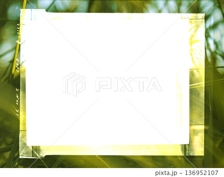 Vintage film slide frame with a white blank center for copy space over a blurred green grass background. Retro 1970s aesthetic with a date stamp 2 Nov 71, light leaks, and film grain. Photo overlay. 136952107