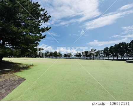 広い公園 136952181