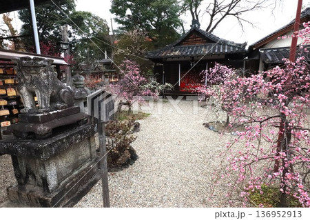 秀長ゆかりの地 秀長ゆかりの地 136952913