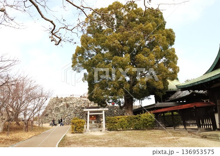 秀長ゆかりの地 136953575