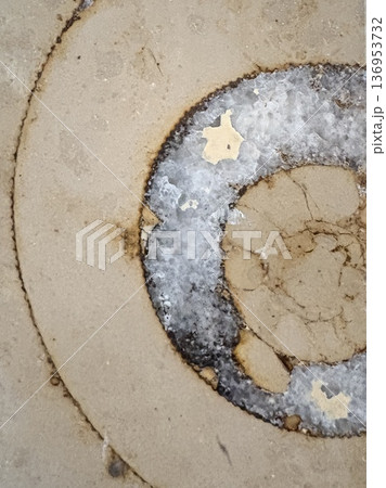 街の中の化石発掘_大理石の中のアンモナイト 136953732