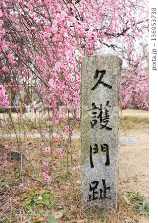 秀長ゆかりの地 秀長ゆかりの地 136953738