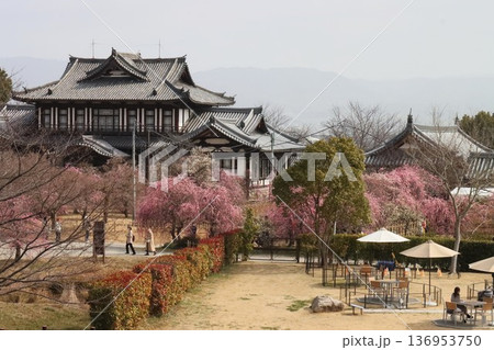 秀長ゆかりの地 秀長ゆかりの地 136953750