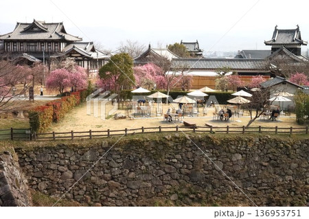 秀長ゆかりの地 秀長ゆかりの地 136953751