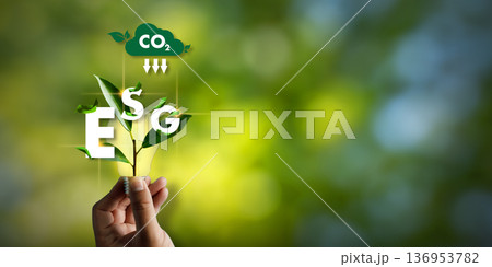 ESG environment decarbonization responsible business growth, carbon reduction, ESG sustainability disclosure, metrics communicated through a clean ESG green visual with copy space. 136953782