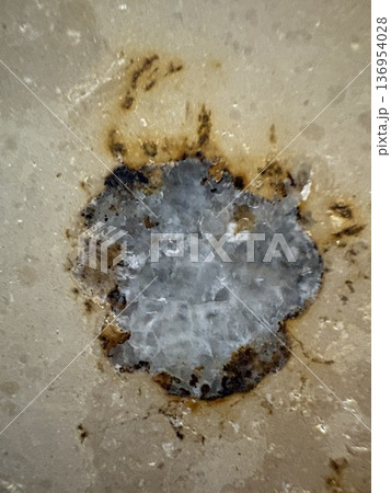 街の中の化石発掘_大理石の中で宝石のように結晶化した化石 街の中の化石発掘_大理石の中で宝石のように結晶化した化石 136954028