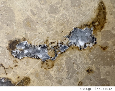 街の中の化石発掘_大理石の中で宝石のように結晶化した化石 街の中の化石発掘_大理石の中で宝石のように結晶化した化石 136954032