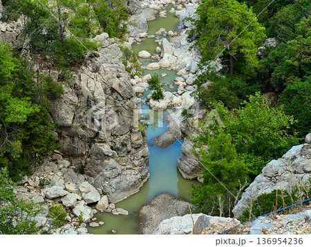 Mountain River Flowing Through Rocky Canyon with Lush Green Forest Mountain River Flowing Through Rocky Canyon with Lush Green Forest 136954236
