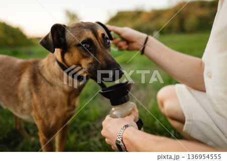 Dog drinks water from bottle while owner holds it Dog drinks water from bottle while owner holds it 136954555