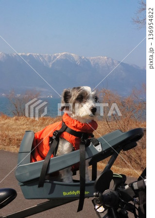 琵琶湖 琵琶湖 136954822