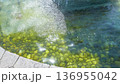 晴れた日の公園の噴水の水面 136955042