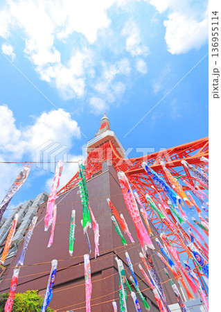 東京都港区、東京タワーとこいのぼりの風景 136955114
