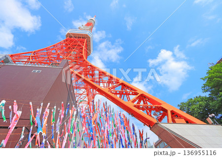 東京都港区、東京タワーとこいのぼりの風景 東京都港区、東京タワーとこいのぼりの風景 136955116