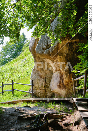 Ancient Rock Formation with Wooden Path Ancient Rock Formation with Wooden Path 136955165