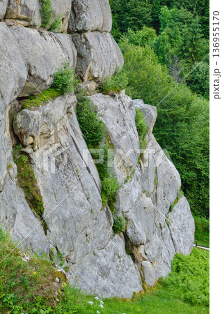 Tustan Rock Cliffs in Carpathians 136955170
