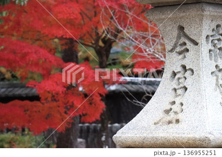 今宮神社 136955251