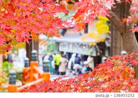 今宮神社 136955252
