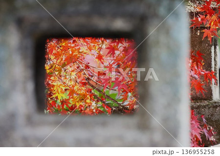 今宮神社 今宮神社 136955258