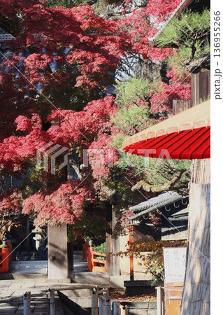 今宮神社 136955266