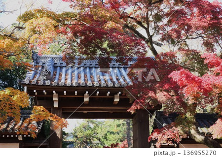 今宮神社 136955270