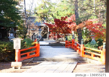 今宮神社 136955271