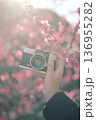 梅とカメラ 136955282