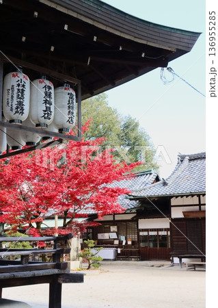 今宮神社 136955285