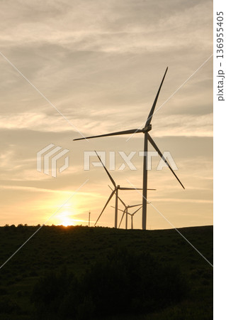 Wind Turbines Silhouetted at Sunset 136955405