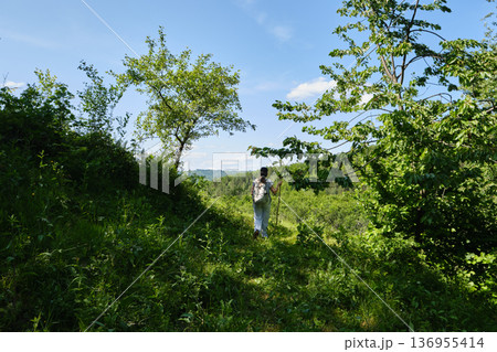 Teenage Girl Hiking Forest Trail 136955414