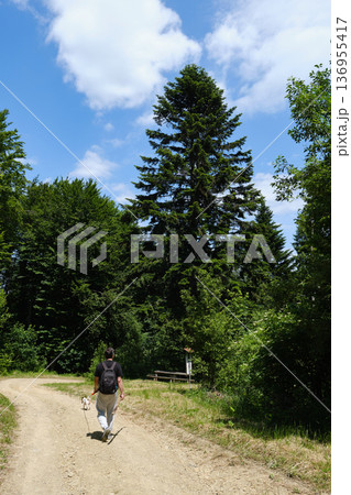 Man Hiking Trail with Dog 136955417