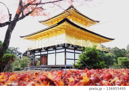 金閣寺の紅葉 136955495
