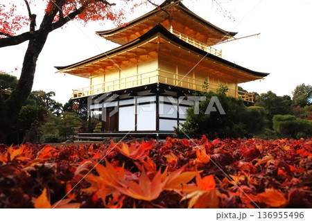 金閣寺の紅葉 136955496