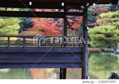 金閣寺の紅葉 136955497