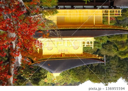 金閣寺の紅葉 金閣寺の紅葉 136955594