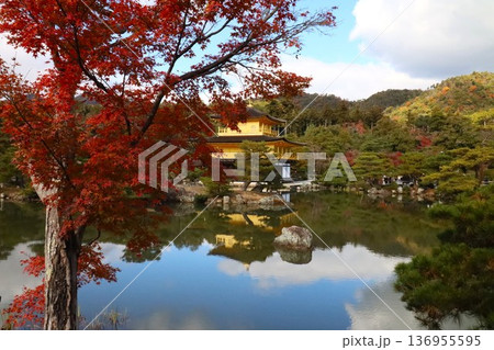金閣寺の紅葉 金閣寺の紅葉 136955595