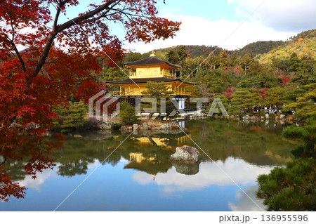 金閣寺の紅葉 136955596