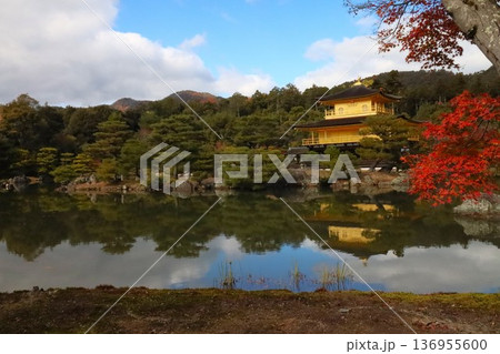金閣寺の紅葉 136955600
