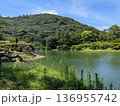 晴れた日の公園の池と青空 136955742