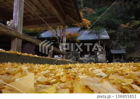 岩戸落葉神社 岩戸落葉神社 136955851