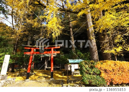 岩戸落葉神社 岩戸落葉神社 136955853