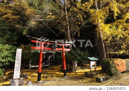 岩戸落葉神社 岩戸落葉神社 136955855